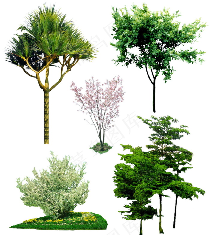 园林植物效果图素材psd模版下载