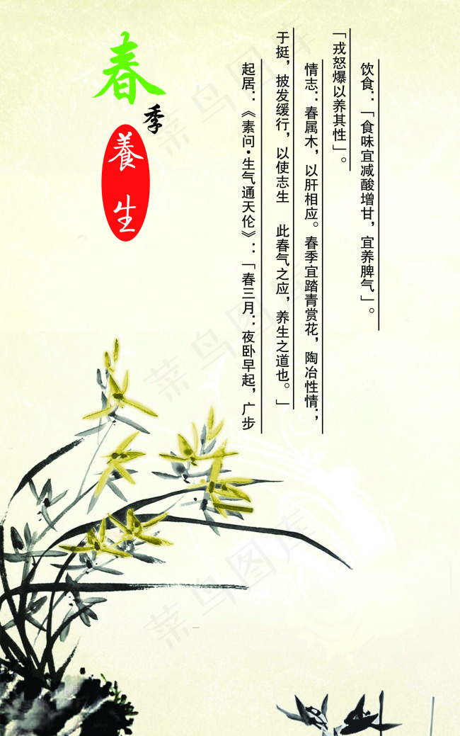 春季养生(1969X3150(DPI:100))psd模版下载