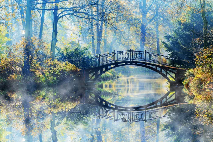 林间小桥风景摄影