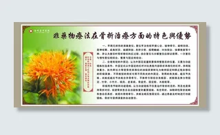 非药物疗法在骨折治疗方面的特色图片