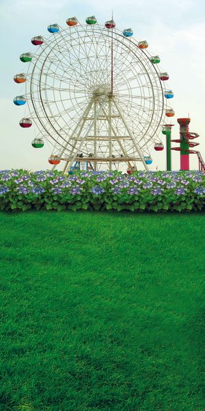 摩天轮与鲜花草地影楼摄影背景图片