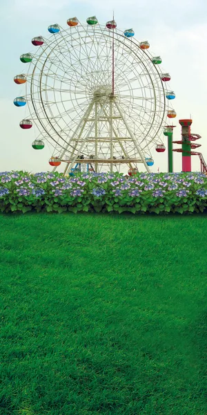 摩天轮与鲜花草地影楼摄影背景图片