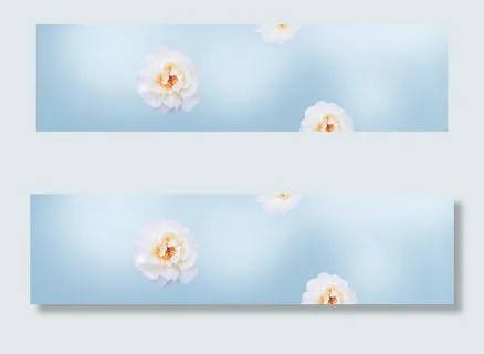 淘宝化妆品海报banner 淘宝化妆品海报banner