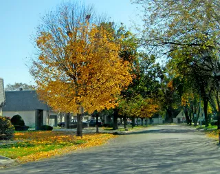 自然景观 秋天图片