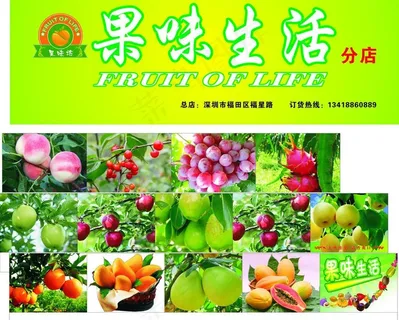 水果招牌图片