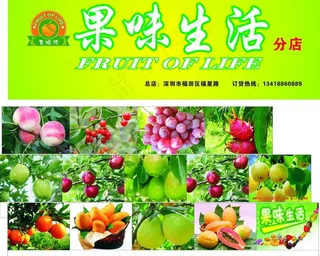 水果招牌图片