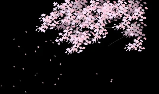 桃花 桃花