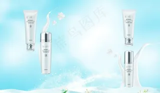 飞雪牛奶花图片