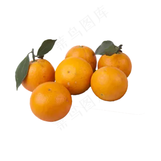 橙子实拍（png免抠）橙子实拍（png免抠）