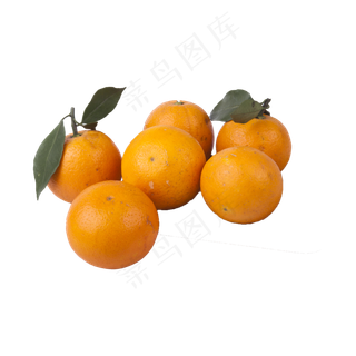 橙子实拍（png免抠）橙子实拍（png免抠）