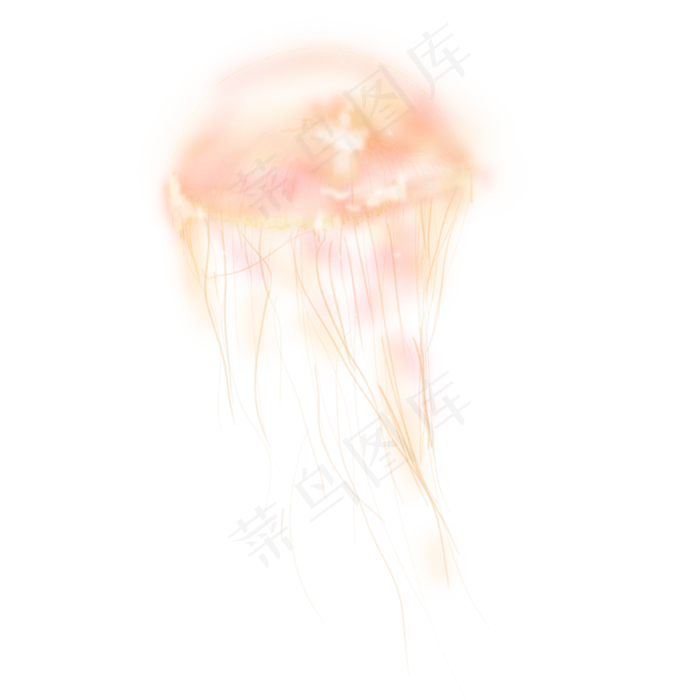 夏季大海深海海洋生物水母手绘插,免抠元素(2000*2000px 300 dpi )psd模版下载