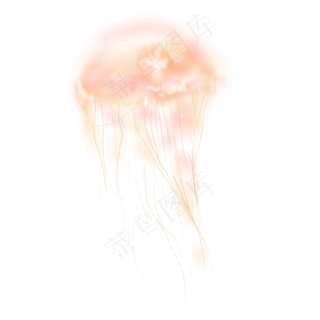 夏季大海深海海洋生物水母手绘插,免抠元素