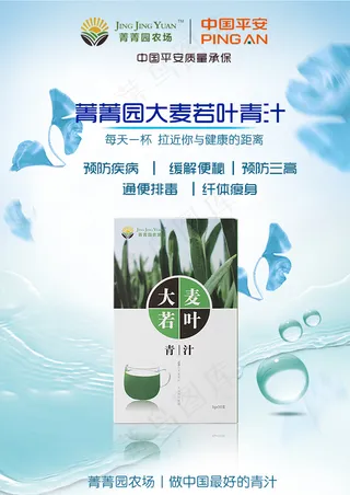 菁菁园大麦若叶青汁