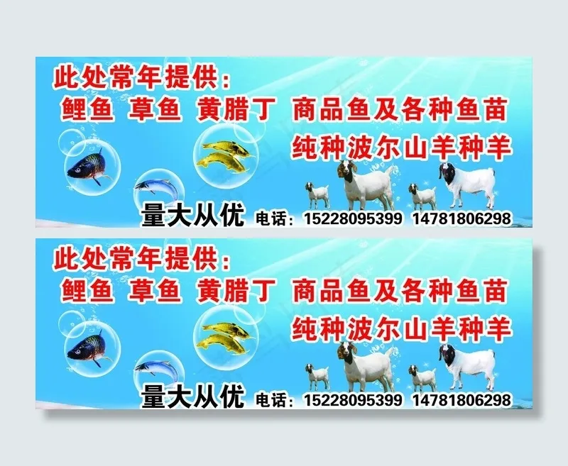 鱼类门头图片cdr矢量模版下载