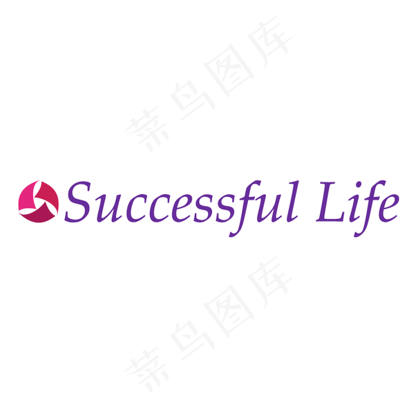 成功的人生