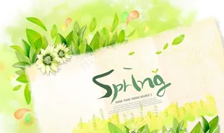 绿草鲜花春天背景图片