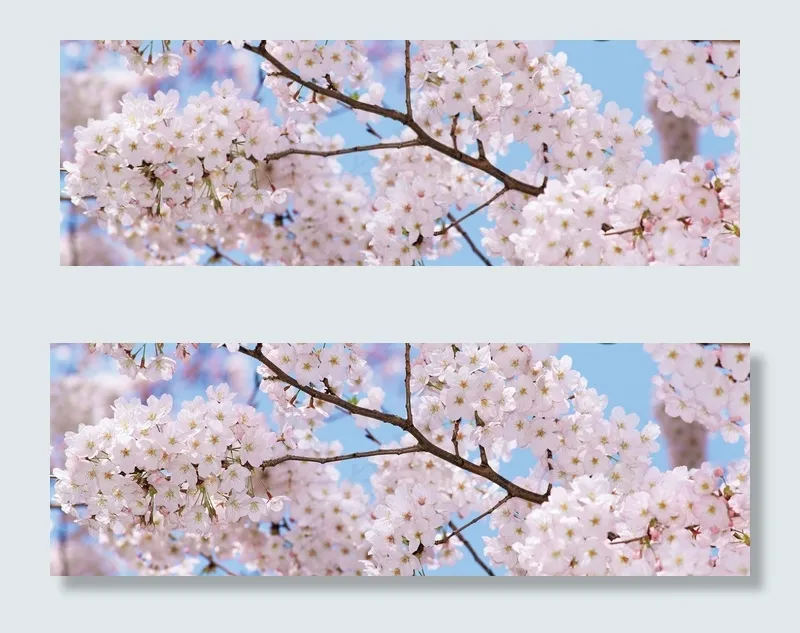 唯美浪漫樱花酒店卧室床头画客厅装饰...