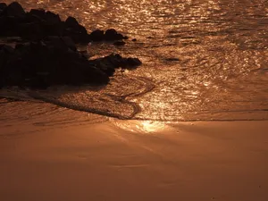 金色海滩图片