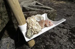 创业板勺