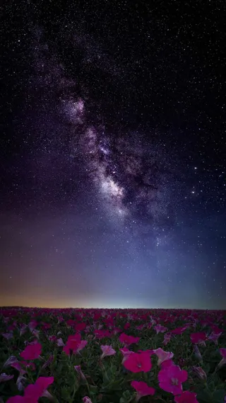 星云高清摄影图片