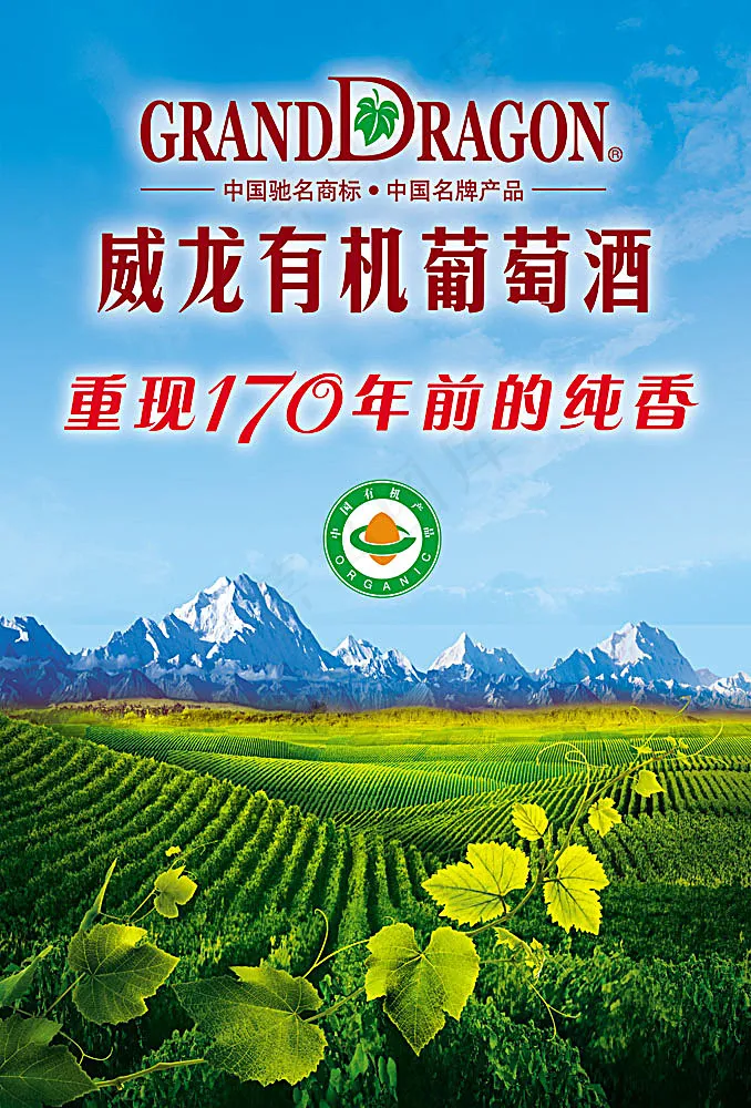 威龙有机葡萄酒宣传海报(3366X4961(DPI:300))psd模版下载