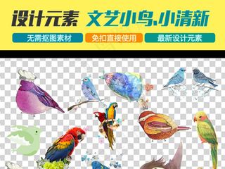 彩绘鸟手绘鸟水彩鸟小清新免扣元素