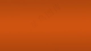 震撼大气婚礼预告片会声会影模版电子...