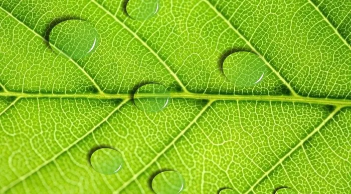 水滴图片cdr矢量模版下载