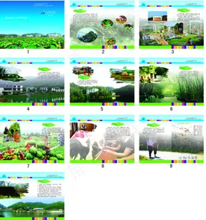 游泳景区画册景区画册
