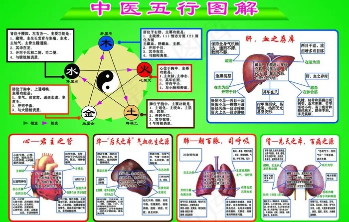 中医阴阳五行图解图片psd模版下载