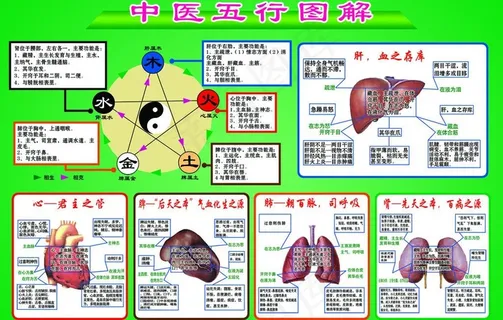 中医阴阳五行图解图片