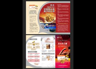 玛卡宣传折页矢量图片