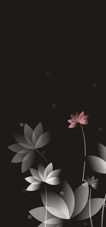 矢量花纹 荷花图片cdr矢量模版下载
