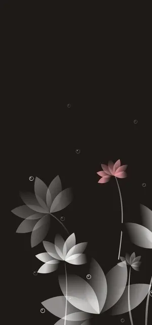 矢量花纹 荷花图片