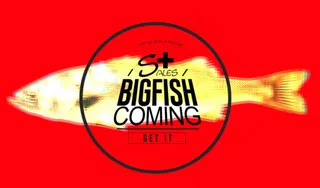 海报设计版式设计