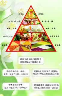 科学饮食金字塔