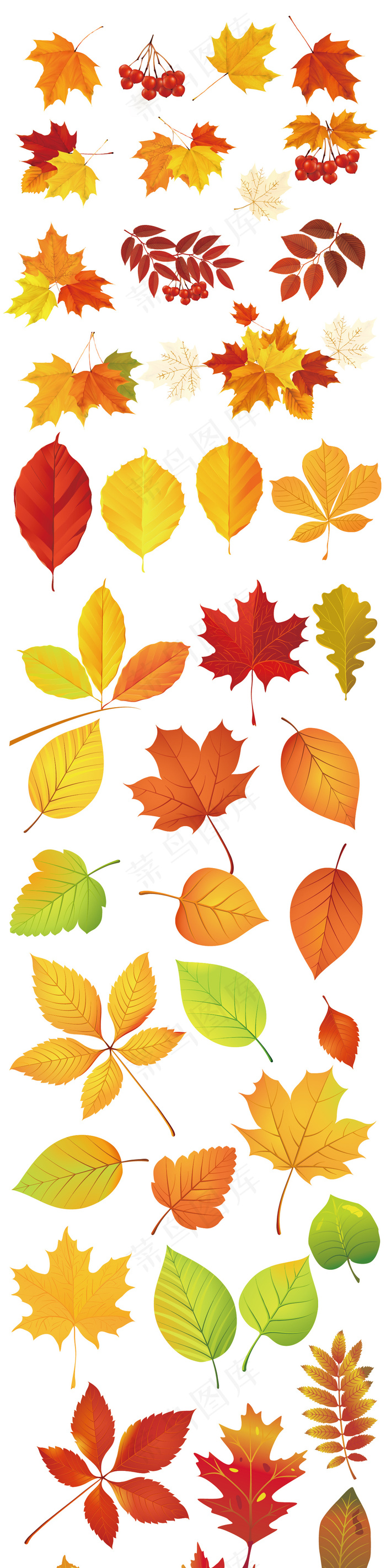 卡通秋天树叶素材