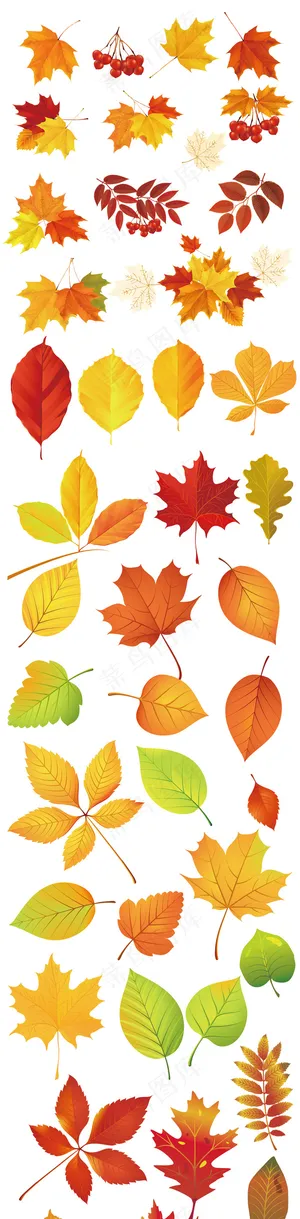 卡通秋天树叶素材