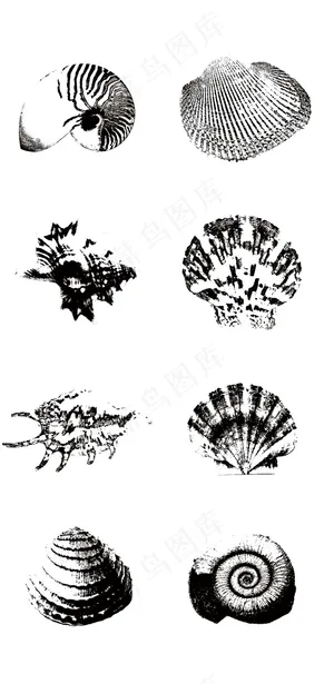 海底世界贝壳海螺黑白ai矢量素材