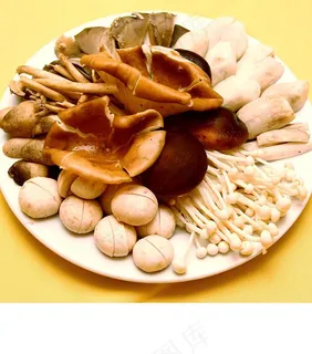 菌类拼盘 菌类拼盘