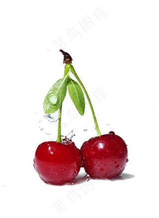 水滴樱桃