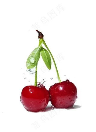 水滴樱桃