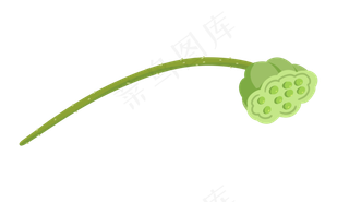 卡通植物莲蓬莲子卡通植物莲蓬莲子