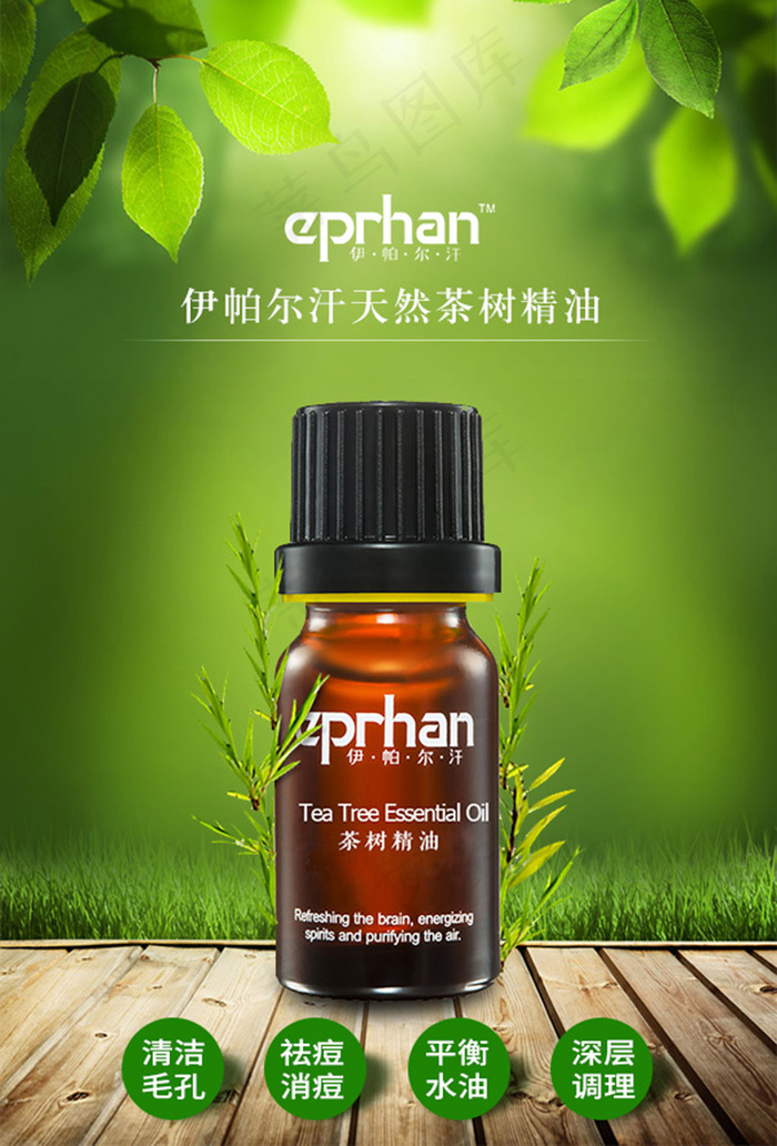 茶树精油psd模版下载