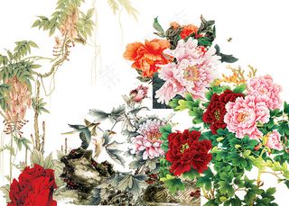 多款牡丹花psd分层-2