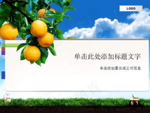 飞扬青春商务美女PPT模板预览图