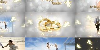 金色天使蝴蝶装饰全套婚礼展示AE模...