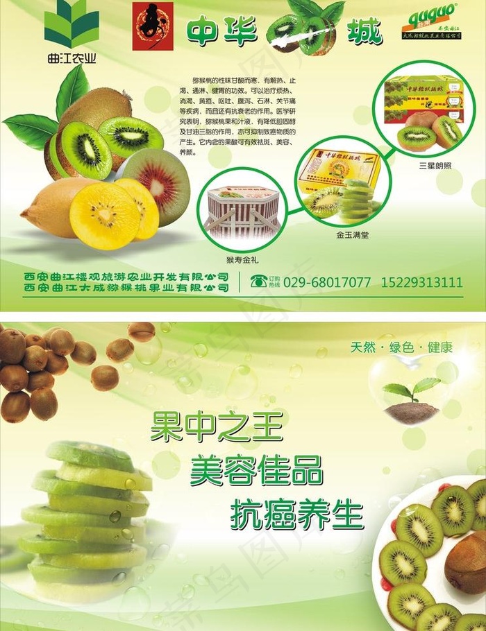 大成猕猴桃彩页图片cdr矢量模版下载