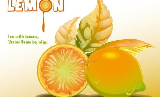 现实的柠檬海报矢量素材