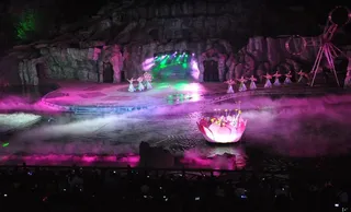 梦幻太极之盛夏莲开图片